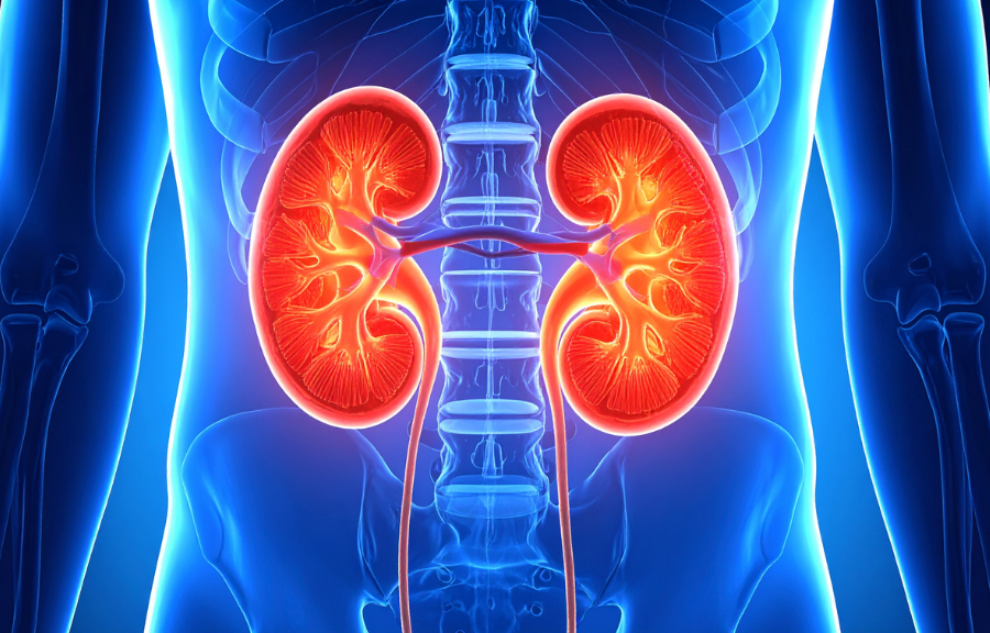 New study: Understanding patient lived experiences of hospital admission and aftercare following Acute Kidney Injury